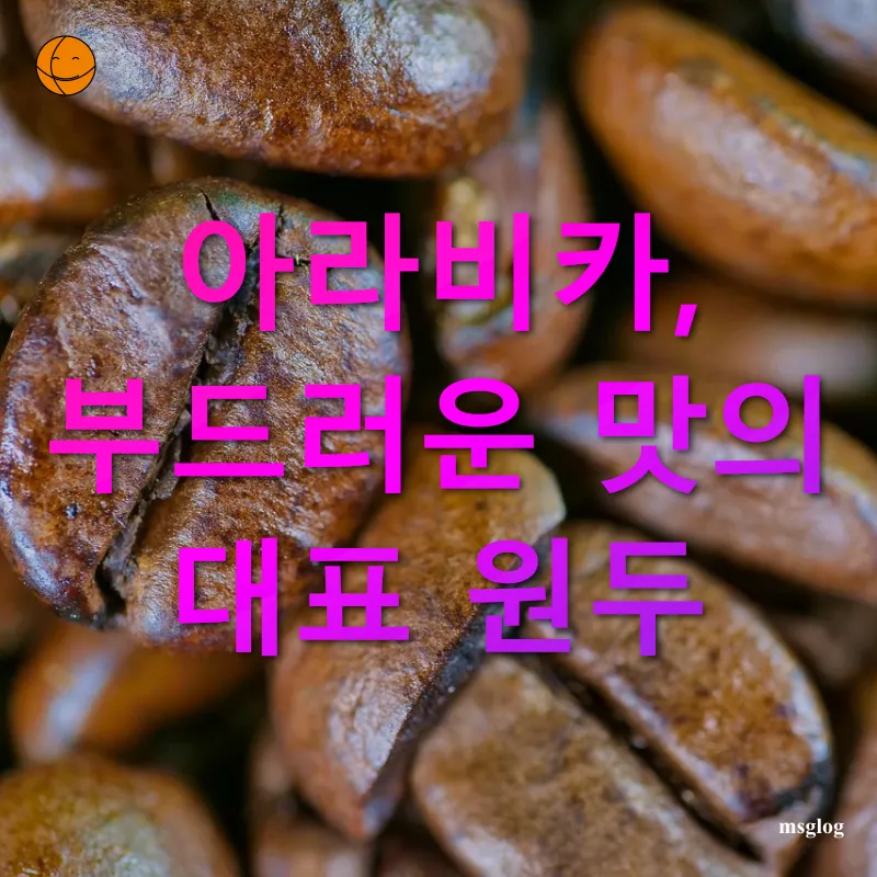 커피 명품 원두의 세계_1