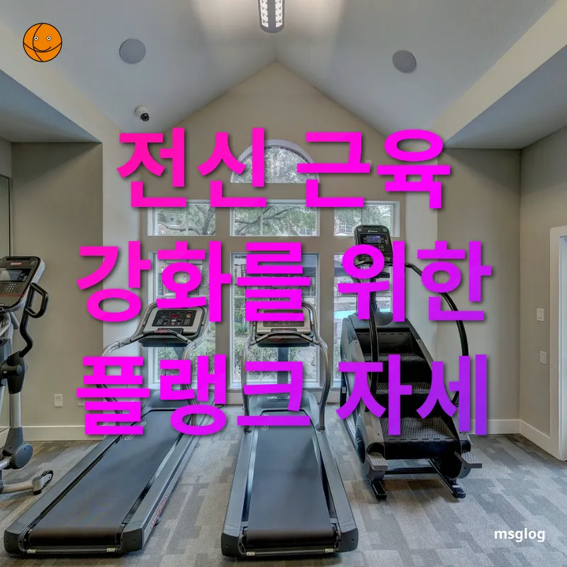 집에서 하는 효과적인 운동 전신 근육 강화를 위한 플랭크 자세 관련 이미지
