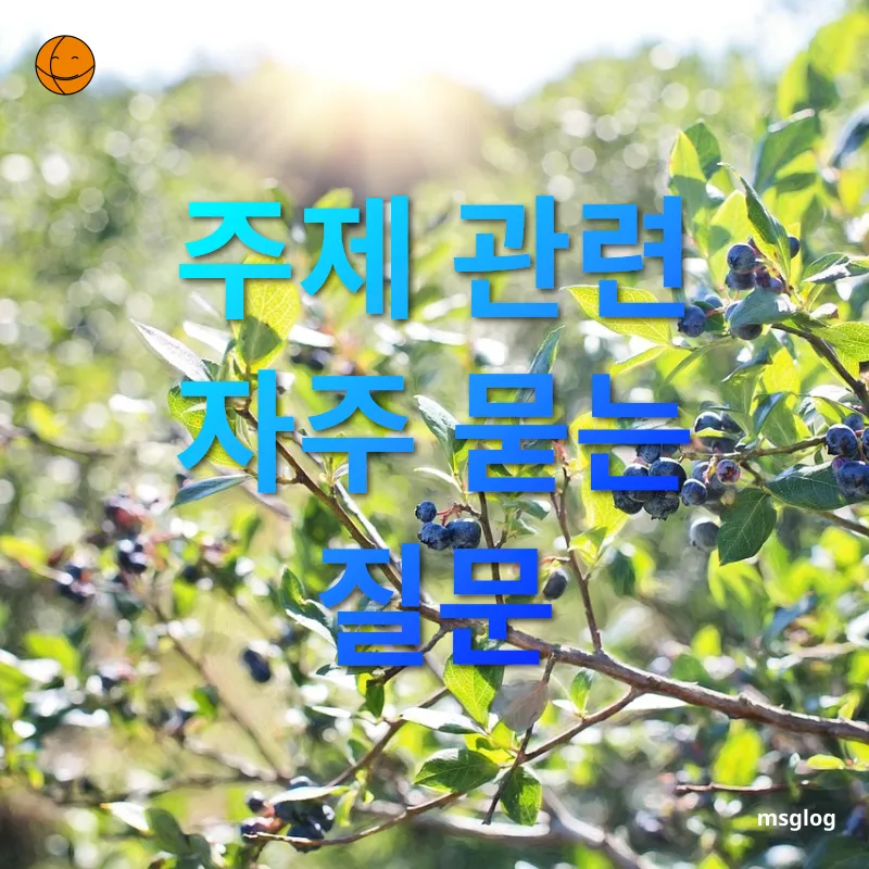 건강한 새싹 키우기 - 주제 관련 자주 묻는 질문 건강한 새싹 키우기 주제 관련 자주 묻는 질문 관련 이미지