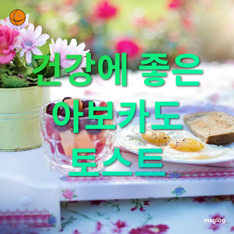 건강한 아침 토스트 - 몸에 좋은 지방이 풍부한 아보카도 건강한 아침 토스트 몸에 좋은 지방이 풍부한 아보카도 관련 이미지