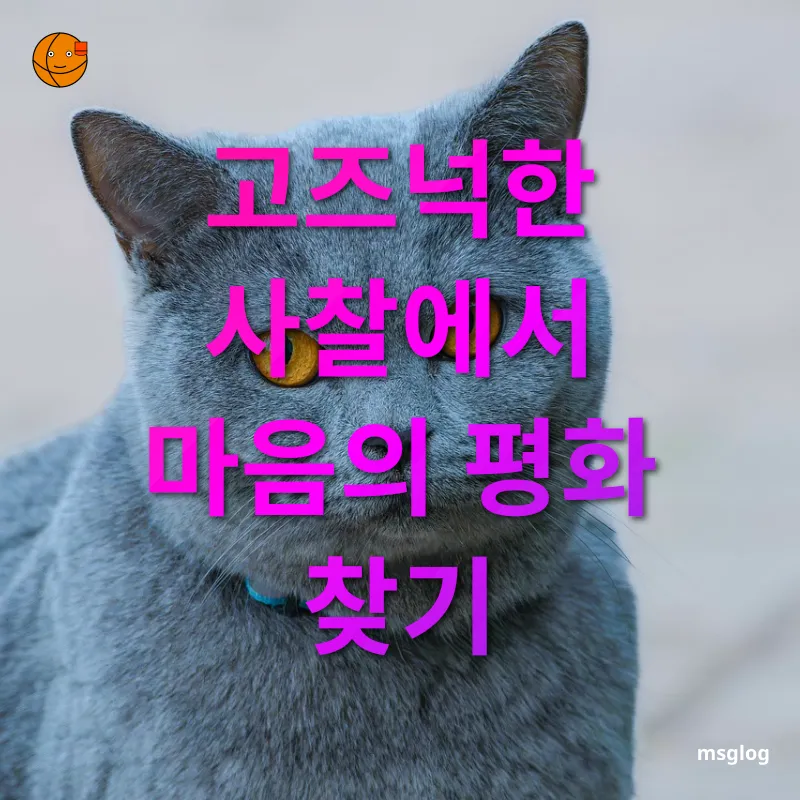 국내 여행 트렌드 - 사찰 방문의 매력 국내 여행 트렌드 사찰 방문의 매력 관련 이미지