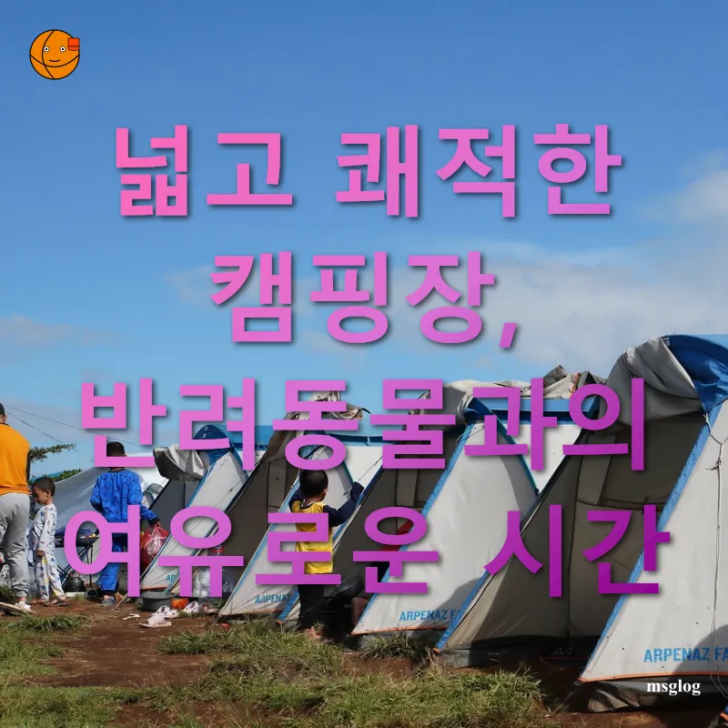 애견 동반 캠핑 - 6만 평 부지의 광활한 공간 애견 동반 캠핑 6만 평 부지의 광활한 공간 관련 이미지