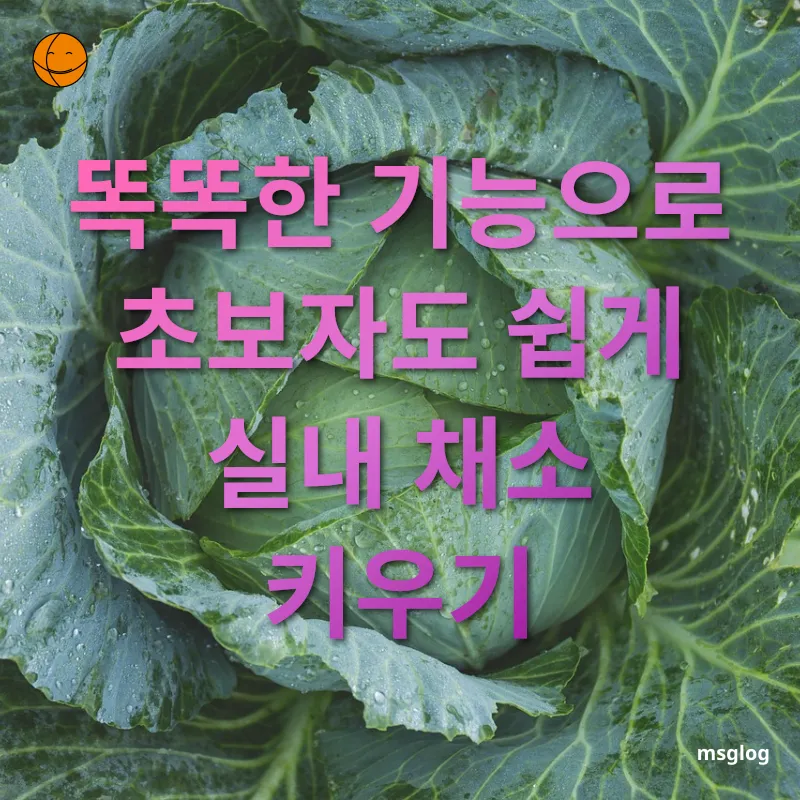 실내 채소 재배 스마트한 수경재배 시스템 관련 이미지