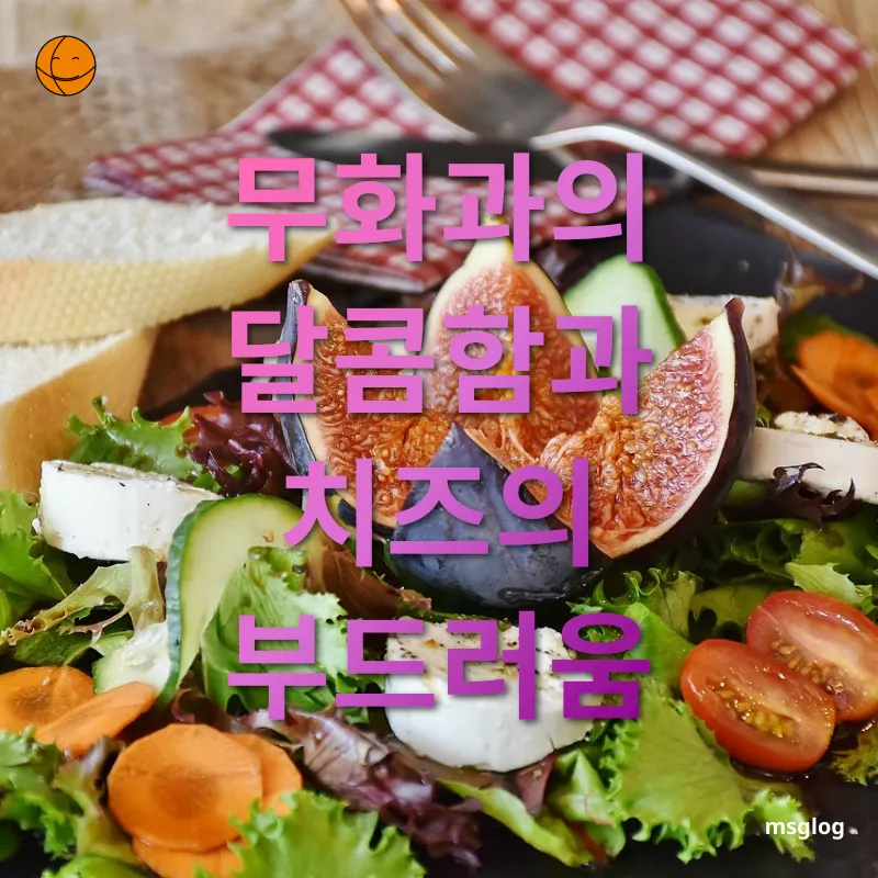 무화과 부라타치즈 샐러드 무화과의 풍부한 영양 관련 이미지