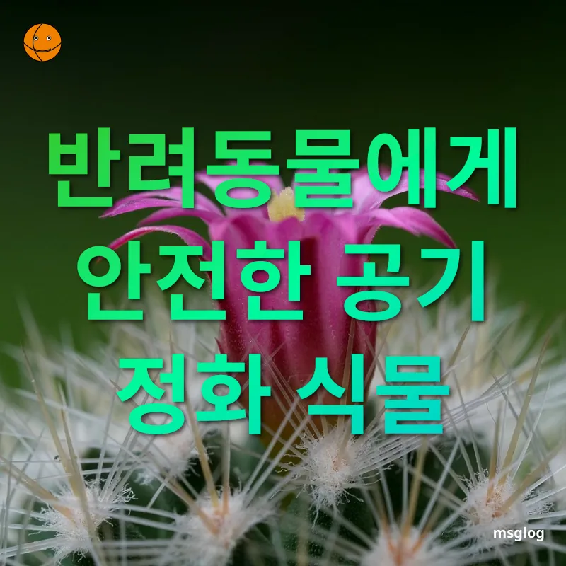 반려동물과 반려식물 - 반려동물에게 무해한 식물 반려동물과 반려식물 반려동물에게 무해한 식물 관련 이미지