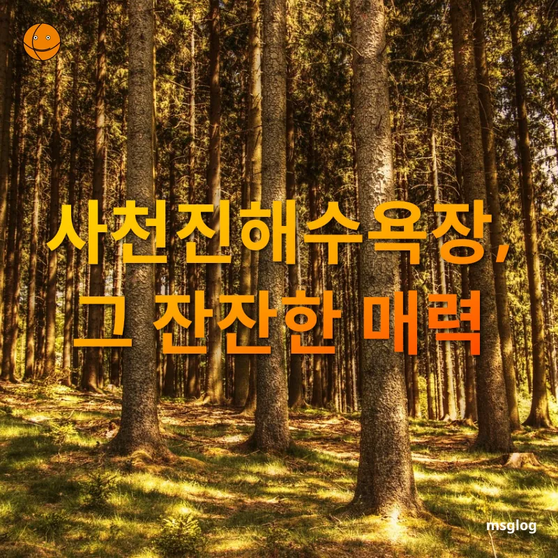 여행을 통한 자아 발견 - 강릉 여행의 즐거움 여행을 통한 자아 발견 강릉 여행의 즐거움 관련 이미지