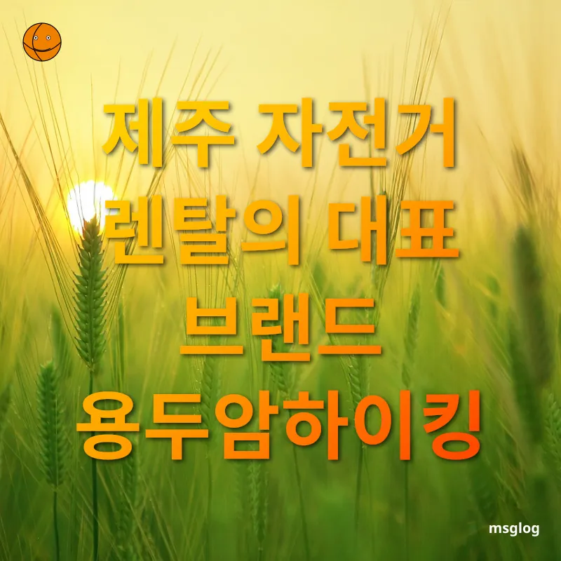 자전거로 즐기는 제주 여행 - 완벽한 자전거 관리 서비스 자전거로 즐기는 제주 여행 완벽한 자전거 관리 서비스 관련 이미지