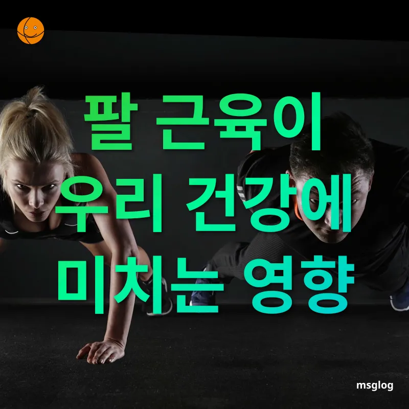 팔 근육 강화 - 팔 근육의 중요성 팔 근육 강화 팔 근육의 중요성 관련 이미지