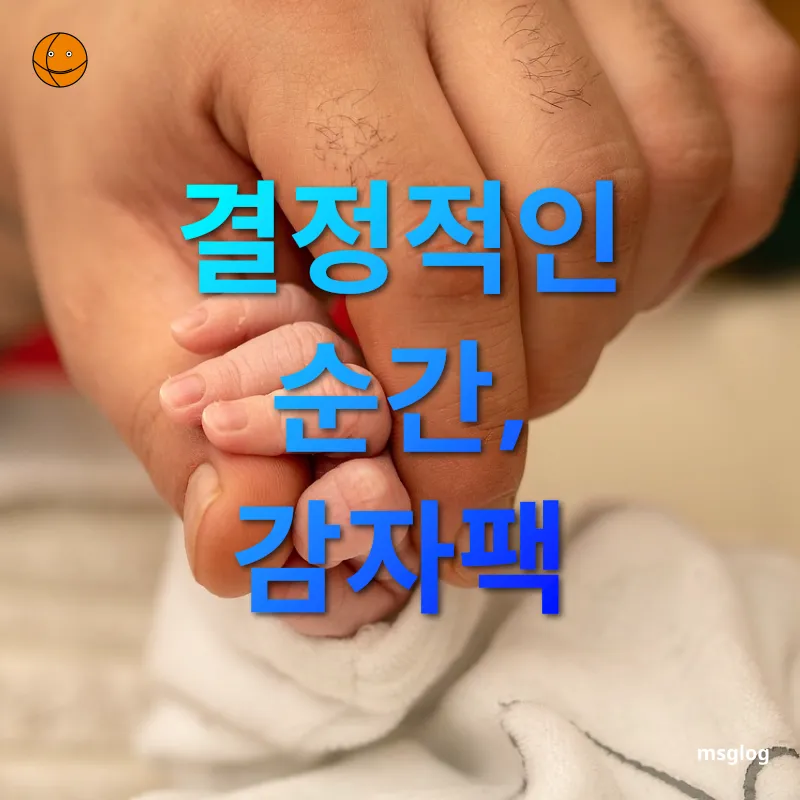 피부 보호 - 결정적인 순간, 감자팩 피부 보호 결정적인 순간, 감자팩 관련 이미지