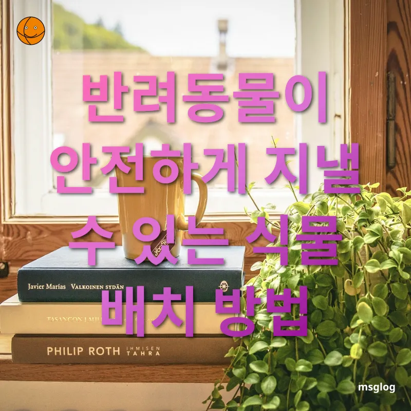 반려동물과 반려식물 - 반려동물이 안전하게 지낼 수 있는 식물 배치 방법 반려동물과 반려식물 반려동물이 안전하게 지낼 수 있는 식물 배치 방법 관련 이미지