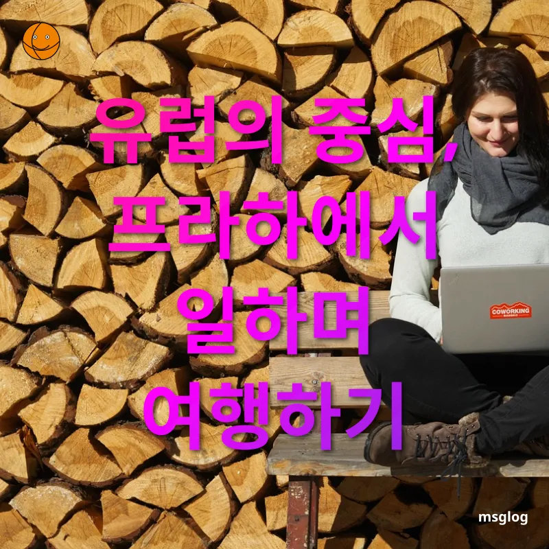디지털 노마드 여행 - 유럽의 중심, 프라하에서 일하며 여행하기 디지털 노마드 여행 유럽의 중심, 프라하에서 일하며 여행하기 관련 이미지