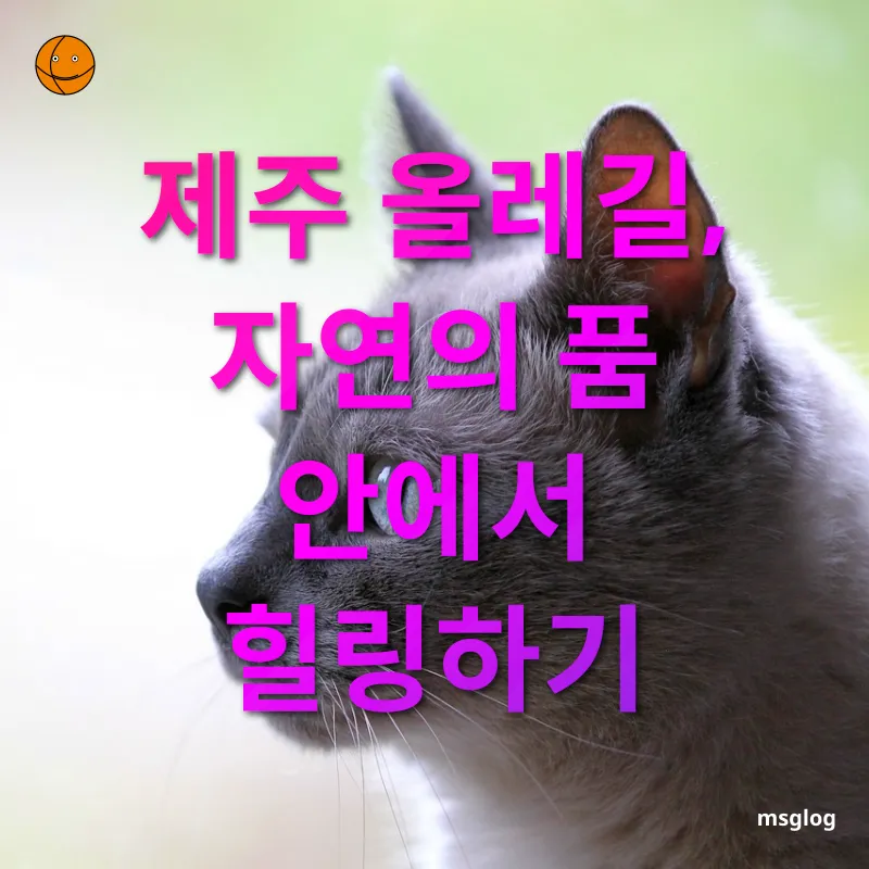 국내 여행 트렌드 - 주제 관련 자주 묻는 질문 국내 여행 트렌드 주제 관련 자주 묻는 질문 관련 이미지