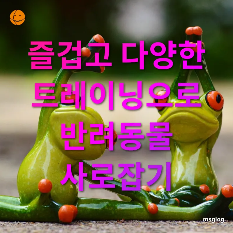 반려동물 홈 트레이닝 - 즐겁고 다양한 트레이닝으로 반려동물 사로잡기 반려동물 홈 트레이닝 즐겁고 다양한 트레이닝으로 반려동물 사로잡기 관련 이미지