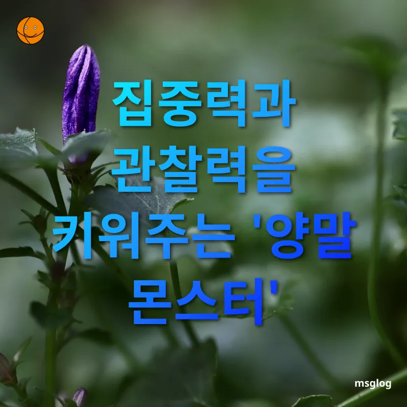 유아 보드게임 집중력과 관찰력을 키워주는 '양말 몬스터' 관련 이미지