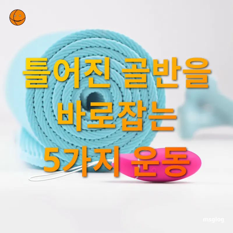 골반 정렬 - 틀어진 골반을 바로잡는 5가지 운동 골반 정렬 틀어진 골반을 바로잡는 5가지 운동 관련 이미지