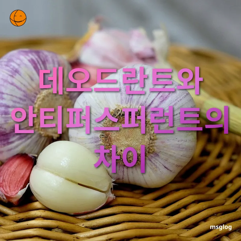체취 관리 - 데오드란트와 안티퍼스퍼런트의 차이 체취 관리 데오드란트와 안티퍼스퍼런트의 차이 관련 이미지