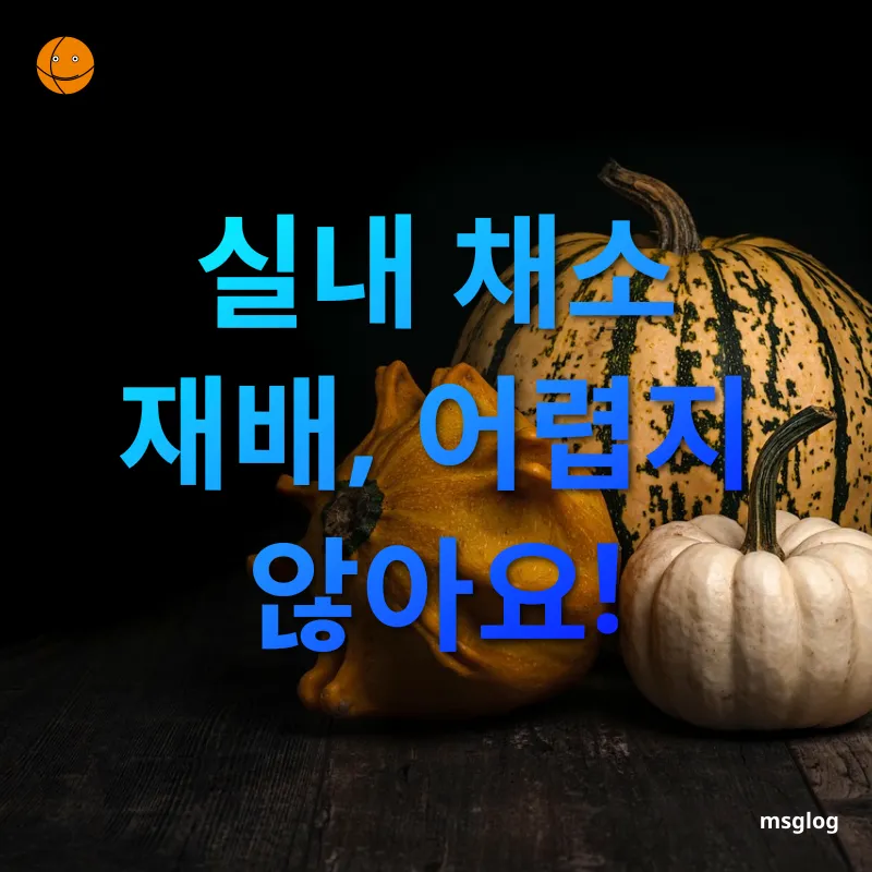 실내 채소 재배 실내 채소 재배, 어렵지 않아요! 관련 이미지