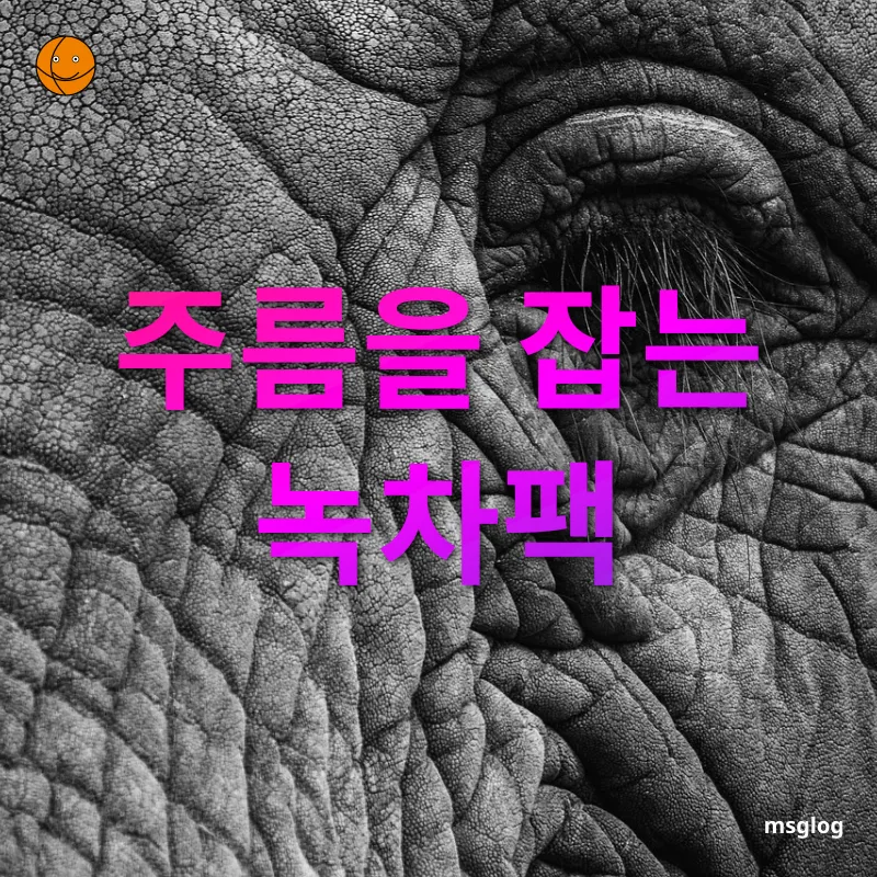 피부 보호 - 주름을 잡는 녹차팩 피부 보호 주름을 잡는 녹차팩 관련 이미지