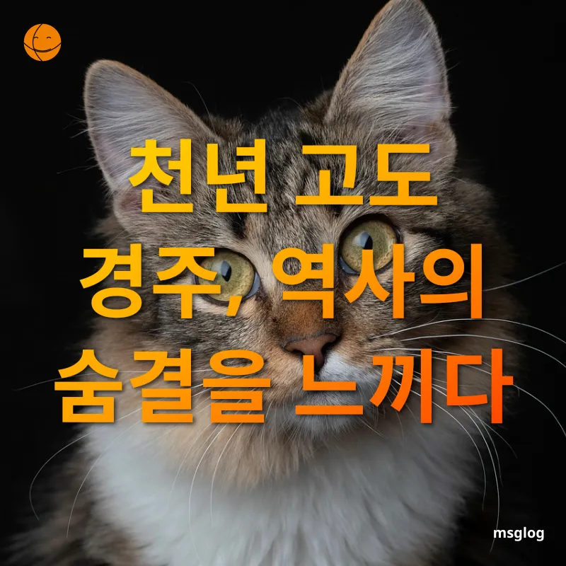 국내 여행 트렌드 - 천년 고도 경주, 역사의 숨결을 느끼다 상세 정보 국내 여행 트렌드 천년 고도 경주, 역사의 숨결을 느끼다 상세 설명 이미지