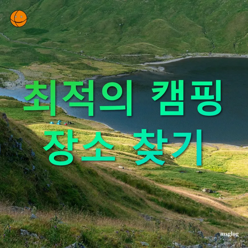 애견 동반 캠핑 - 최적의 캠핑 장소 찾기 애견 동반 캠핑 최적의 캠핑 장소 찾기 관련 이미지