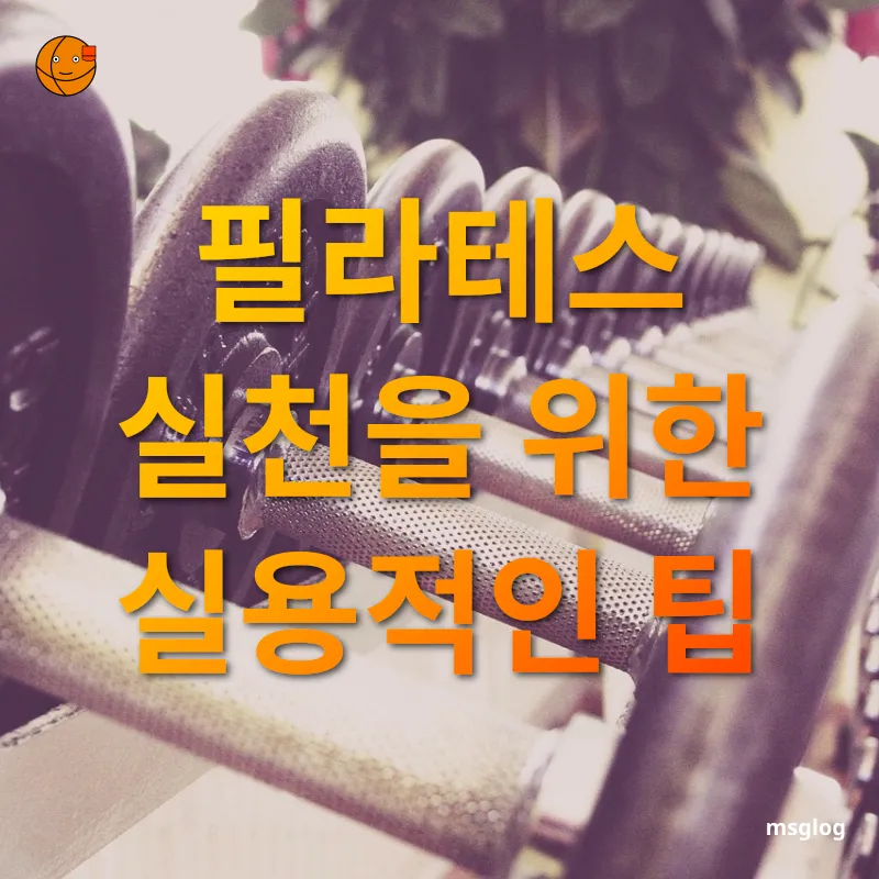 홈 트레이닝과 스튜디오 필라테스 필라테스 실천을 위한 실용적인 팁 관련 이미지
