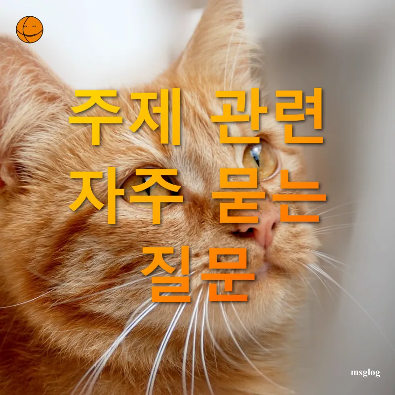 애견 동반 캠핑 - 주제 관련 자주 묻는 질문 애견 동반 캠핑 주제 관련 자주 묻는 질문 관련 이미지
