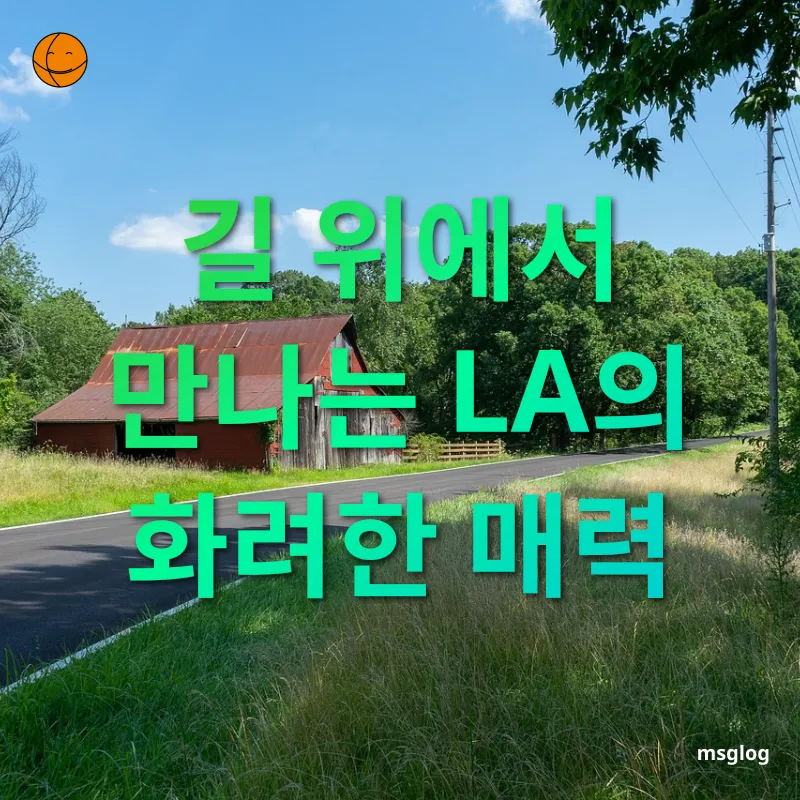 서부 미국 로드트립 - 할리우드의 스타덤을 경험하다 서부 미국 로드트립 할리우드의 스타덤을 경험하다 관련 이미지