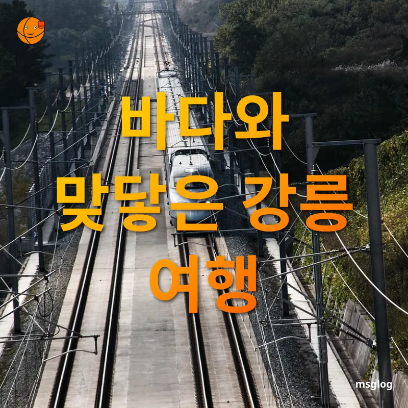 국내 KTX 여름 여행 - 푸른 바다와 함께 느끼는 여유 국내 KTX 여름 여행 푸른 바다와 함께 느끼는 여유 관련 이미지
