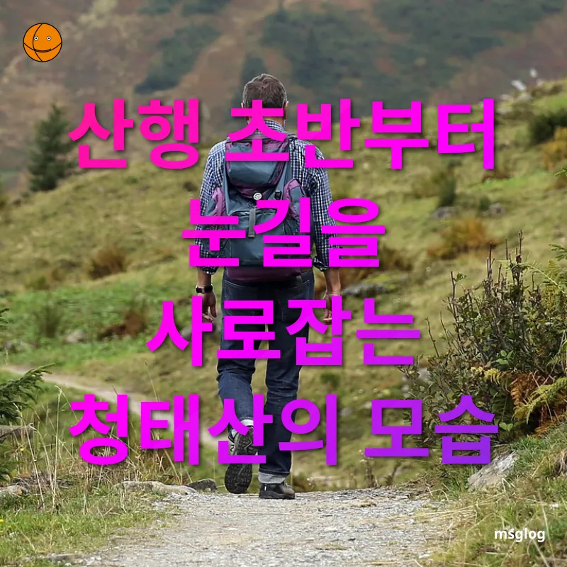 청태산 등산 - 아름다운 자연 휴양림과 황톳길 청태산 등산 아름다운 자연 휴양림과 황톳길 관련 이미지