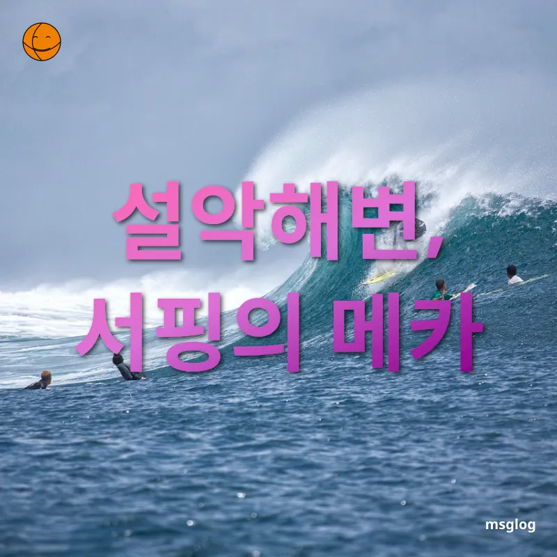 서핑하기 좋은 설악해변 천혜의 자연 환경 관련 이미지