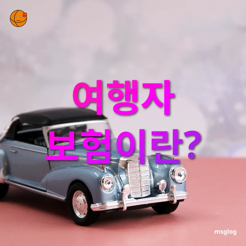여행자보험 - 그게 뭔데? 여행자보험 그게 뭔데? 관련 이미지