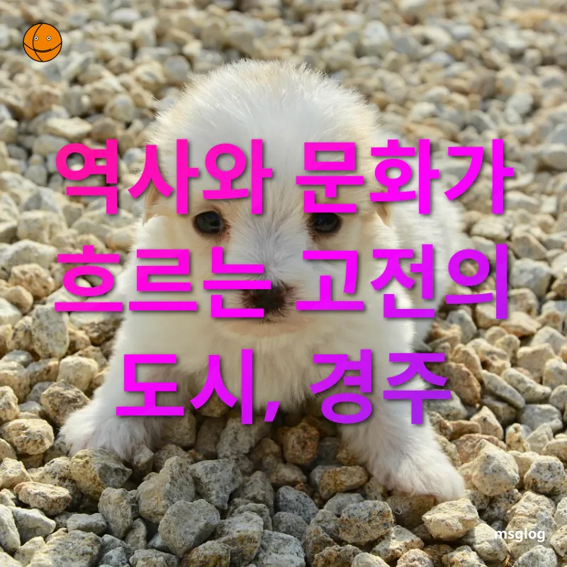 한달살기 여행 - 천년고도 경주의 매력 만나기 한달살기 여행 천년고도 경주의 매력 만나기 관련 이미지