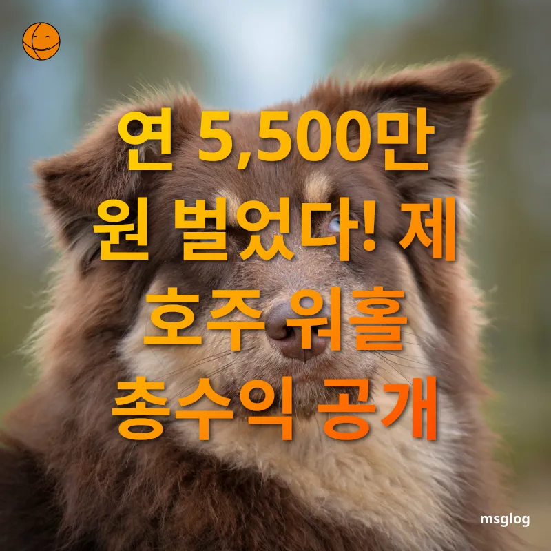 호주 워킹홀리데이 - 총 수익 공개 호주 워킹홀리데이 총 수익 공개 관련 이미지