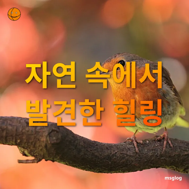 자연 속 피로 해소 캠핑장 도착 순간 관련 이미지
