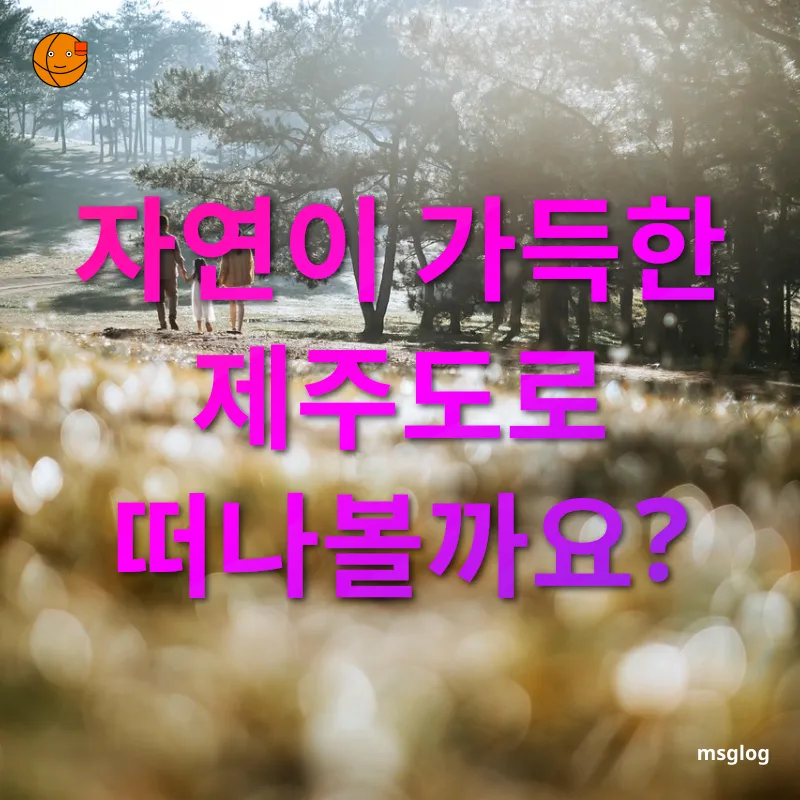 가족 여행 - 제주도의 아름다운 풍경 속에서 가족 여행 제주도의 아름다운 풍경 속에서 관련 이미지