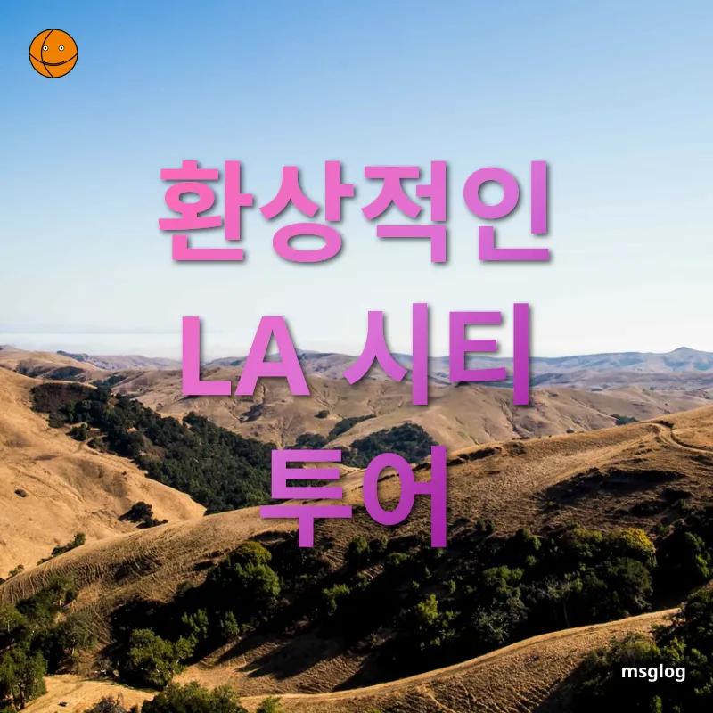 서부 미국 로드트립 - 할리우드 걸어보기 서부 미국 로드트립 할리우드 걸어보기 관련 이미지