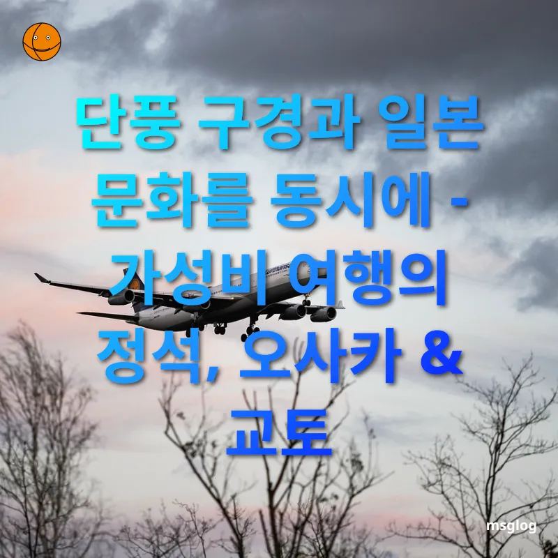 가성비 해외여행 - 단풍 구경과 일본 문화를 동시에 - 가성비 여행의 정석, 오사카 & 교토 가성비 해외여행 단풍 구경과 일본 문화를 동시에 - 가성비 여행의 정석, 오사카 & 교토 관련 이미지