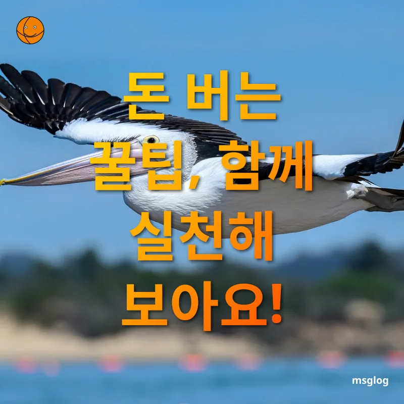 호주 워킹홀리데이 - 돈 버는 꿀팁, 함께 실천해 보아요! 호주 워킹홀리데이 돈 버는 꿀팁, 함께 실천해 보아요! 관련 이미지