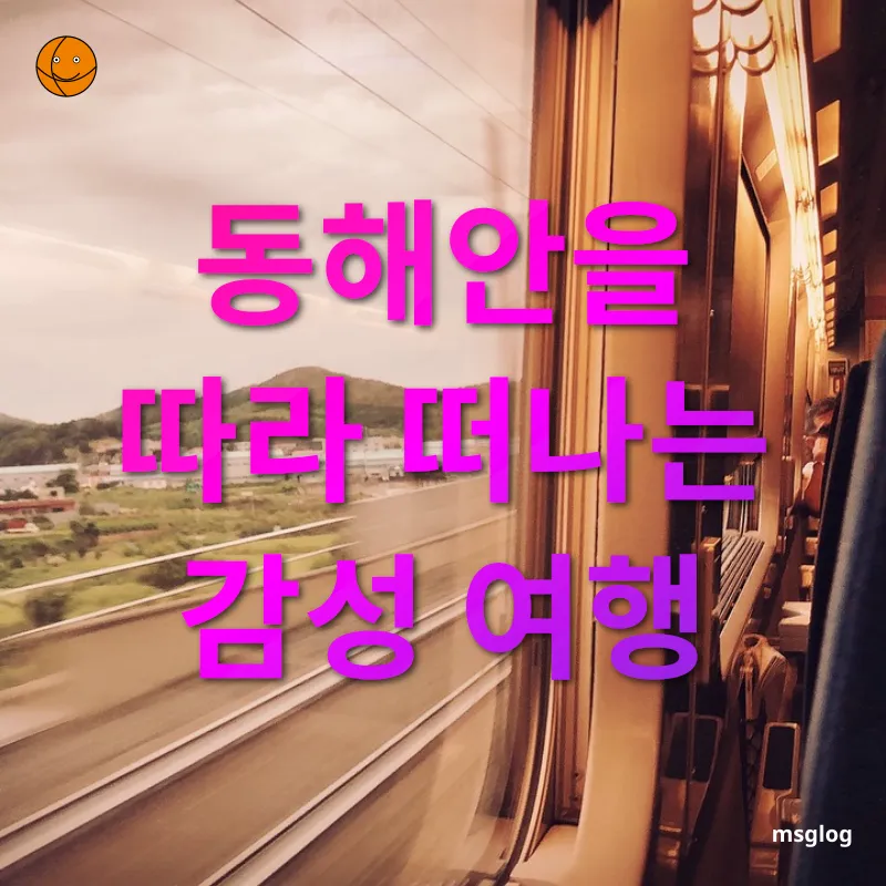 국내 KTX 여름 여행 - 동해안을 따라 떠나는 감성 여행 국내 KTX 여름 여행 동해안을 따라 떠나는 감성 여행 관련 이미지