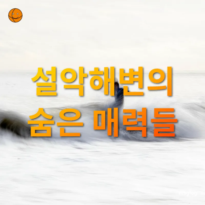 서핑하기 좋은 설악해변 설악해변의 숨은 매력들 관련 이미지