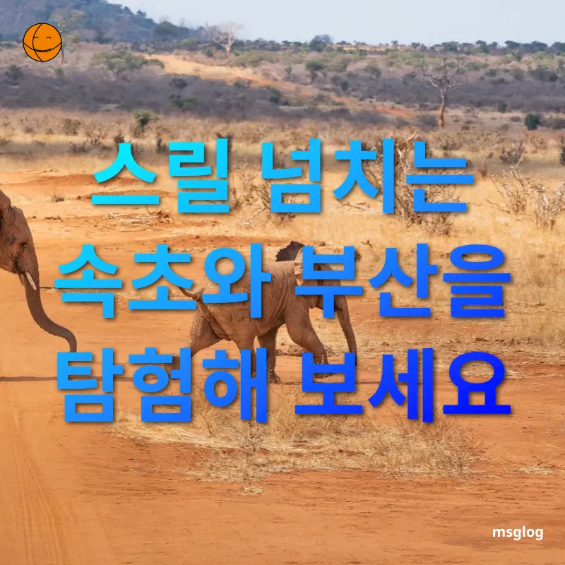 가족 여행 - 스릴 넘치는 속초와 부산을 탐험해 보세요 가족 여행 스릴 넘치는 속초와 부산을 탐험해 보세요 관련 이미지