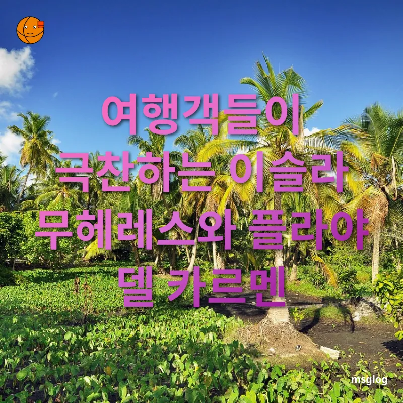 신혼여행 여행지 - 여행객들이 극찬하는 이슬라 무헤레스와 플라야 델 카르멘 신혼여행 여행지 여행객들이 극찬하는 이슬라 무헤레스와 플라야 델 카르멘 관련 이미지