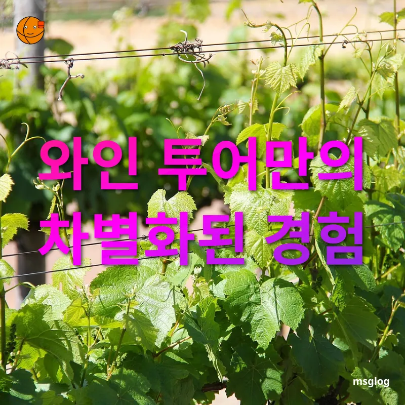 와인 투어 - 와인 투어만의 차별화된 경험 와인 투어 와인 투어만의 차별화된 경험 관련 이미지