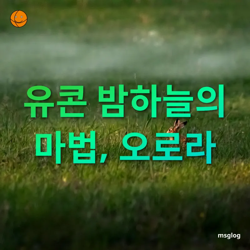 자연 속 피로 해소 유콘 밤하늘의 마법, 오로라 관련 이미지