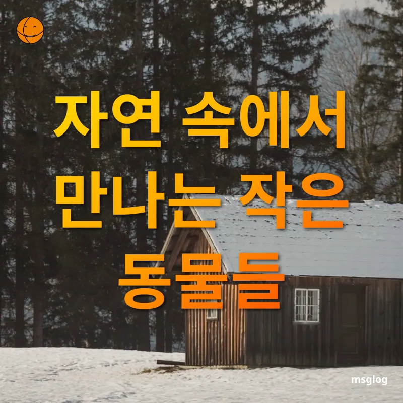 작은 힐링 여행지 - 자연 속에서 만나는 작은 동물들 작은 힐링 여행지 자연 속에서 만나는 작은 동물들 관련 이미지