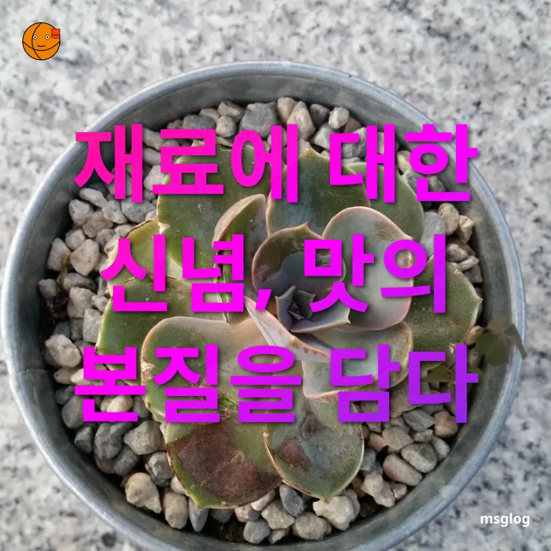 맛집 탐험 - 재료에 대한 신념, 맛의 본질을 담다 맛집 탐험 재료에 대한 신념, 맛의 본질을 담다 관련 이미지