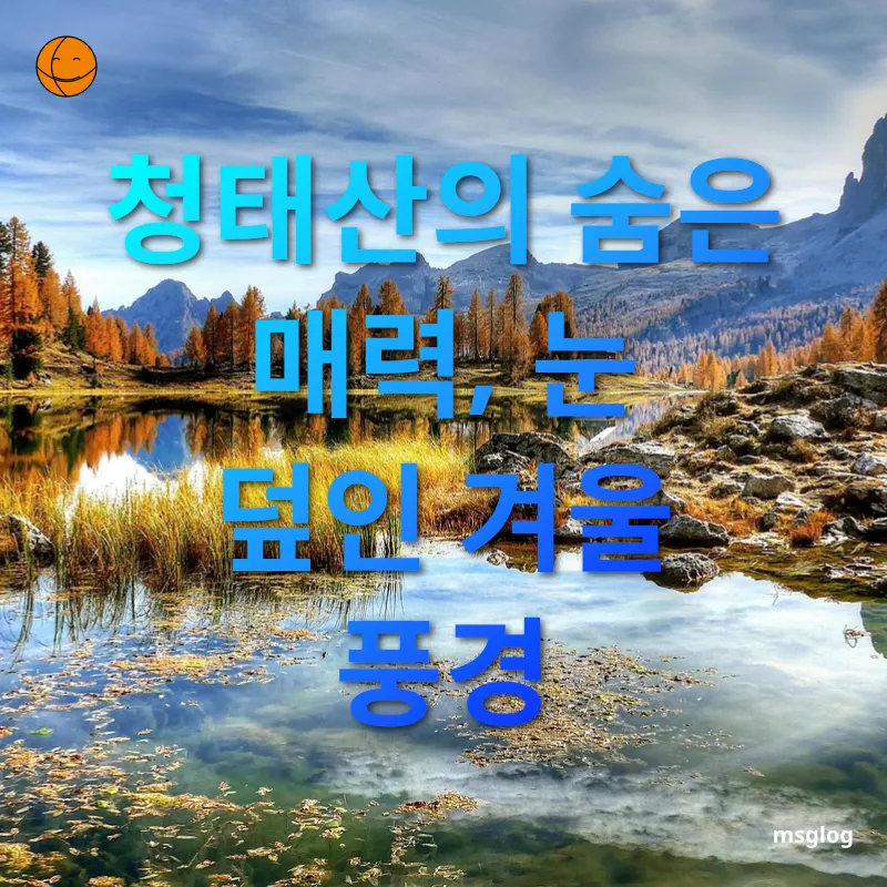 청태산 등산 - 청태산의 숨은 매력, 눈 덮인 겨울 풍경 청태산 등산 청태산의 숨은 매력, 눈 덮인 겨울 풍경 관련 이미지