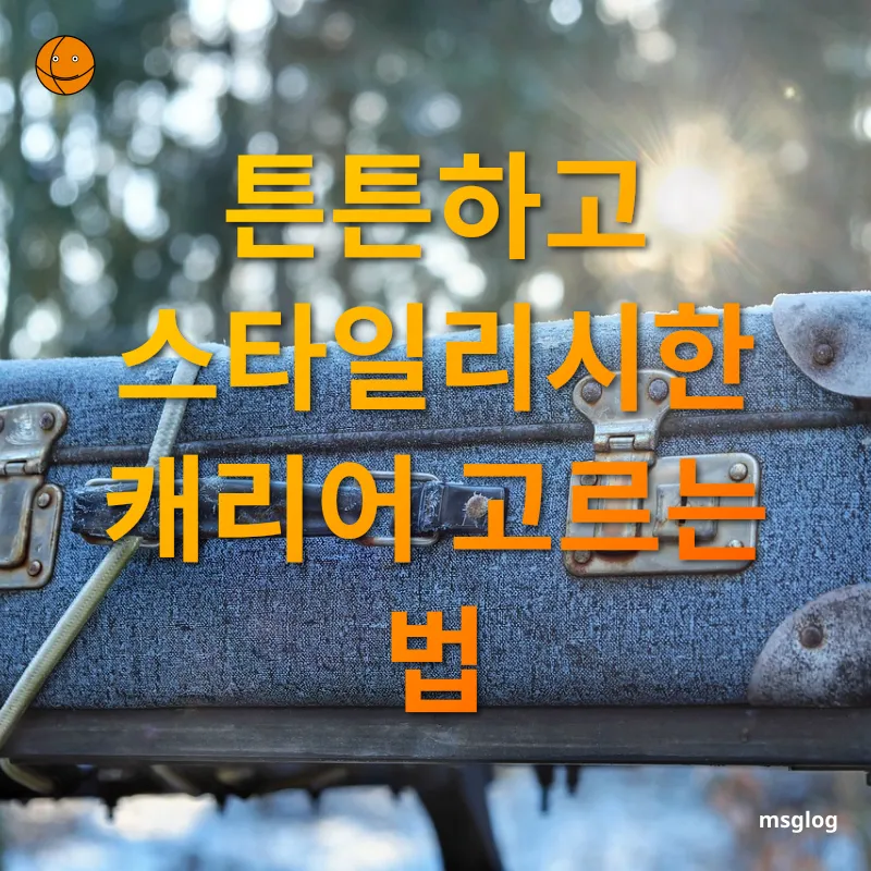여행용 캐리어 선택 - 튼튼하고 스타일리시한 캐리어 고르는 법 여행용 캐리어 선택 튼튼하고 스타일리시한 캐리어 고르는 법 관련 이미지