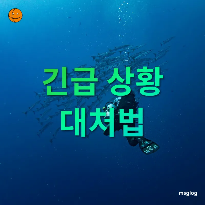 세계 축제 체험 - 축제 체험을 통한 아이의 성장 상세 정보 세계 축제 체험 축제 체험을 통한 아이의 성장 상세 설명 이미지
