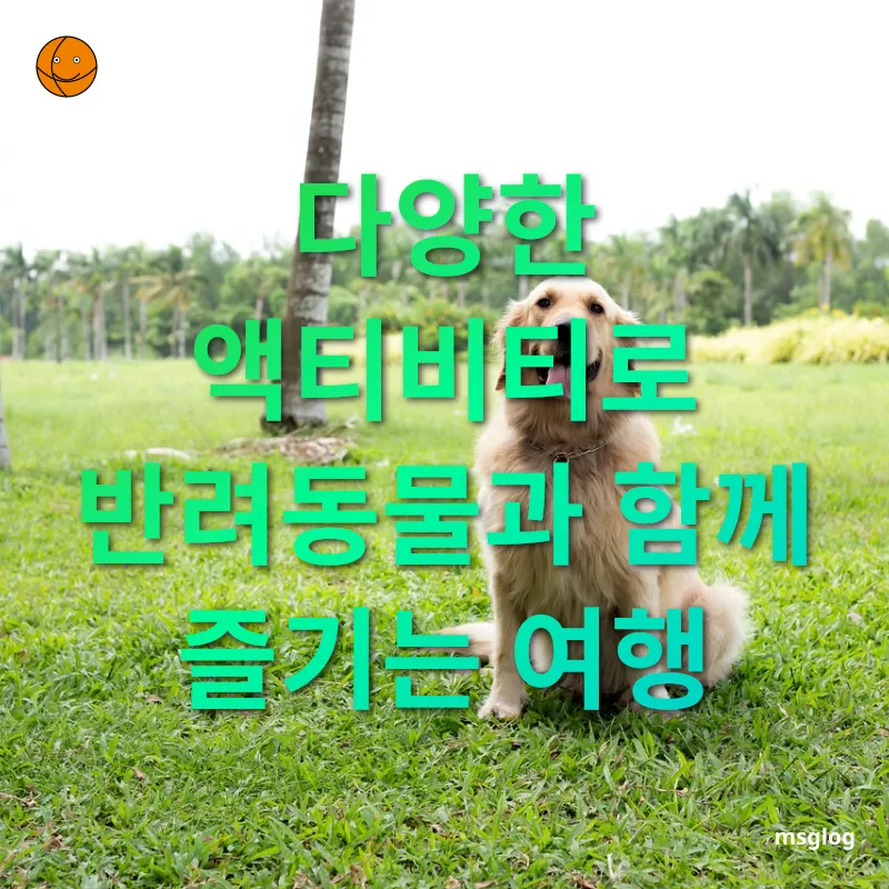 반려동물 동반 여행 - 다양한 액티비티로 반려동물과 함께 즐기는 여행 반려동물 동반 여행 다양한 액티비티로 반려동물과 함께 즐기는 여행 관련 이미지